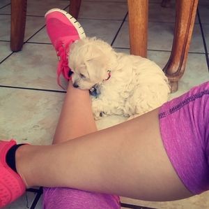 Meet your Posher, Jazmine